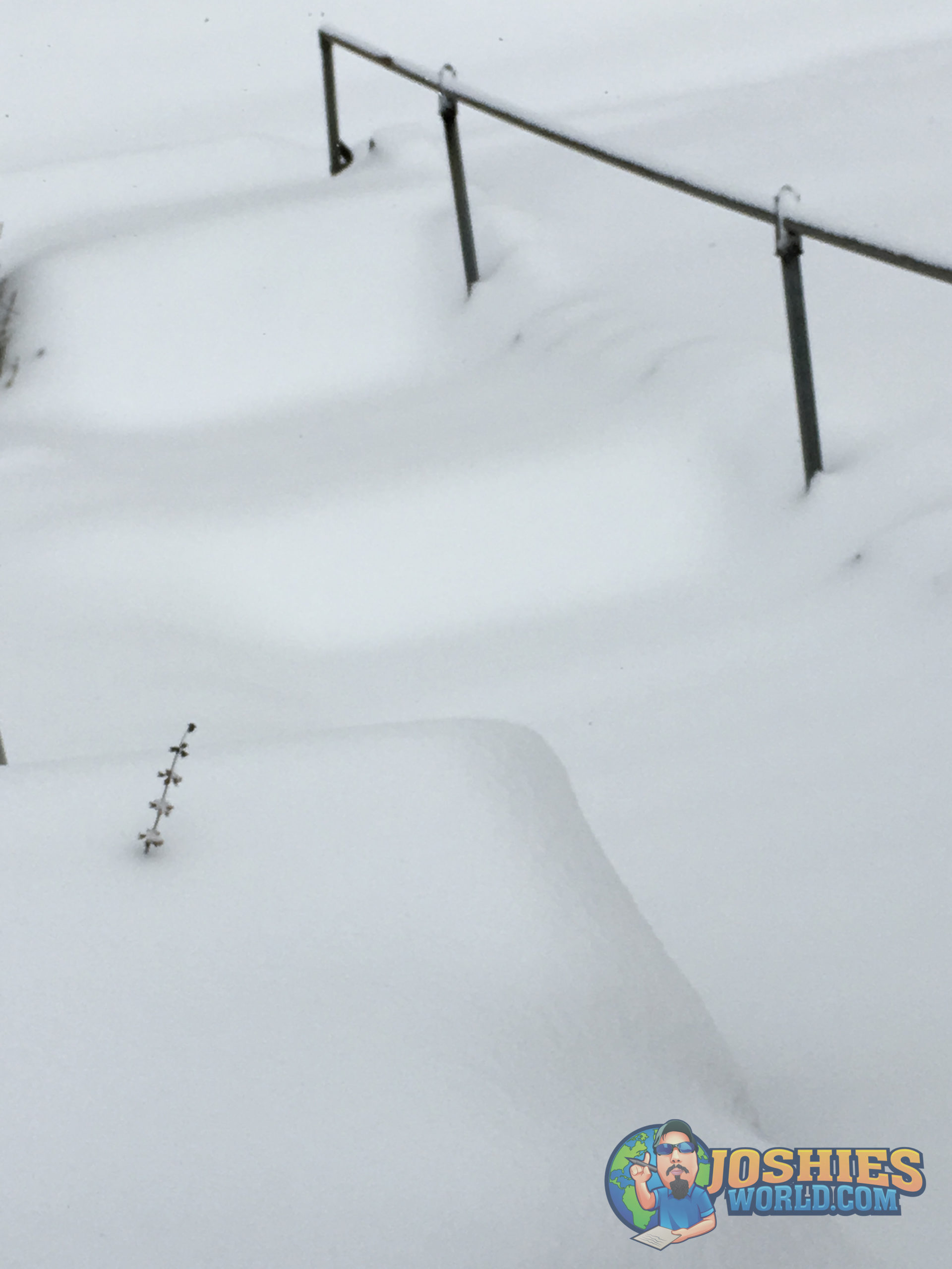 037 Winter Snowstorm Jonas